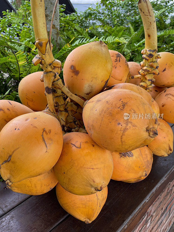 一群国王椰子(Cocos nucifera)的特写图像，木架子上的橙子壳自由热带水果的茎，棕榈叶背景，重点在前景